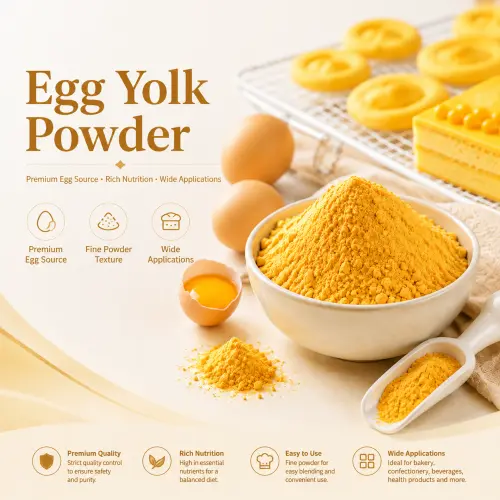 Egg Yolk Powder: The Natural Emulsifying & Nutritive Functional Ingredient for Industrial Food