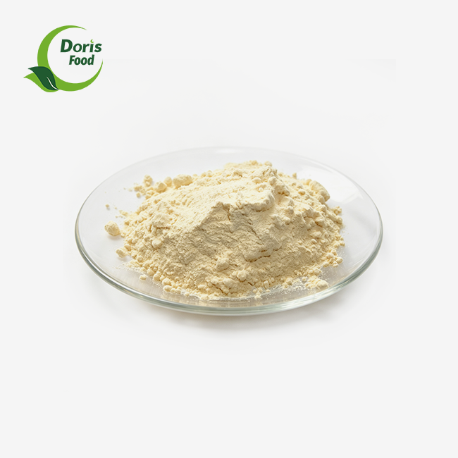 Isolated Soy Protein Bulk