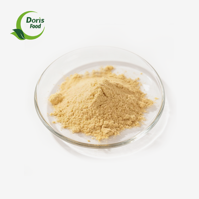 Yeast Extract powder